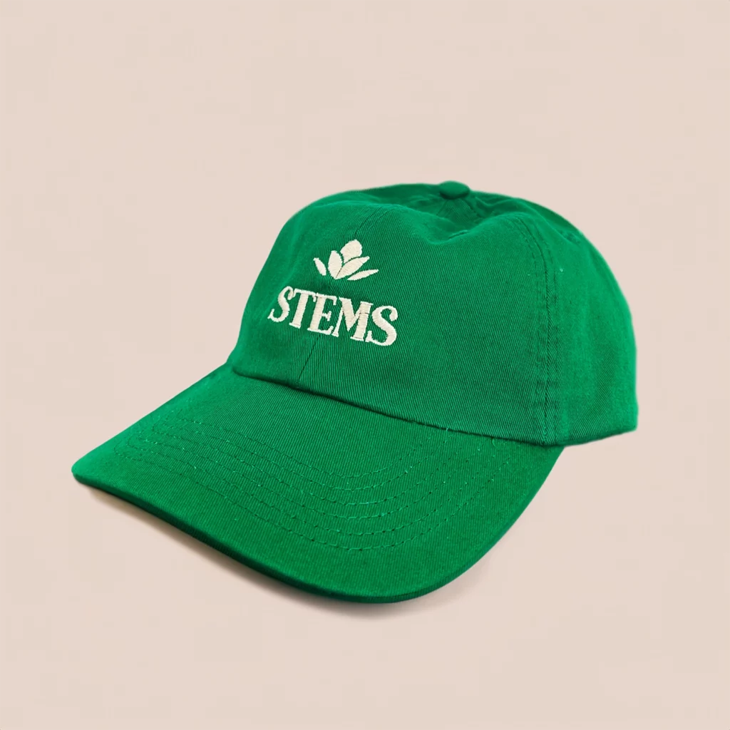 STEMS hat