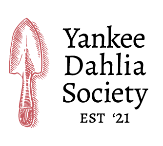 Yankee Dahlia Society