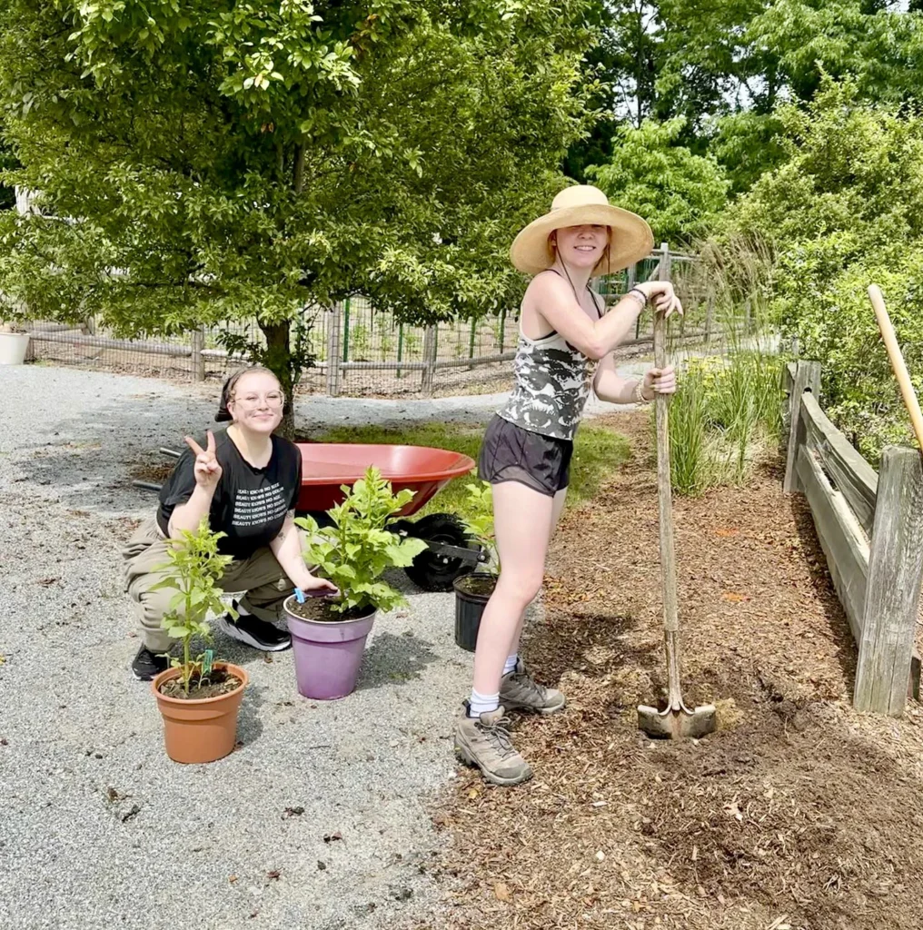 STEMS team members getting the flowers ready for harvest