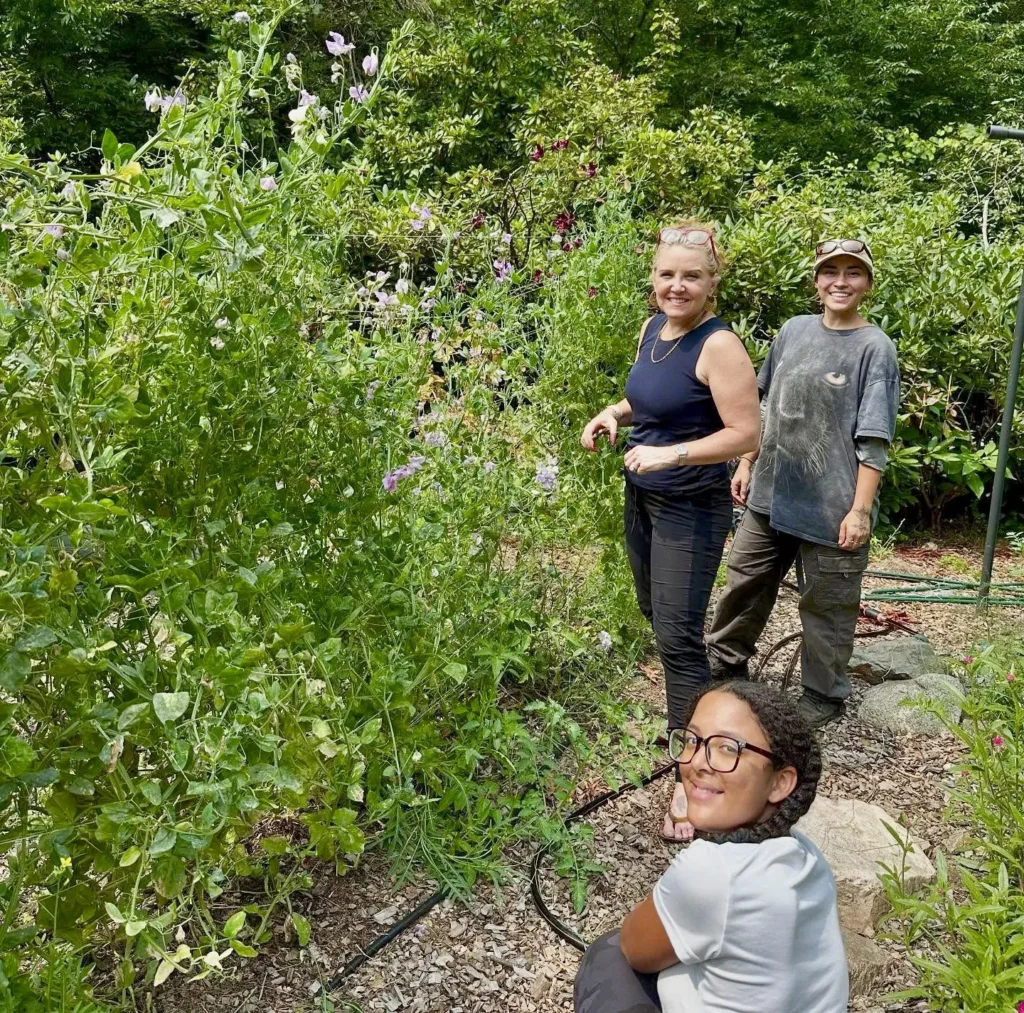STEMS volunteers tending to the flowers
