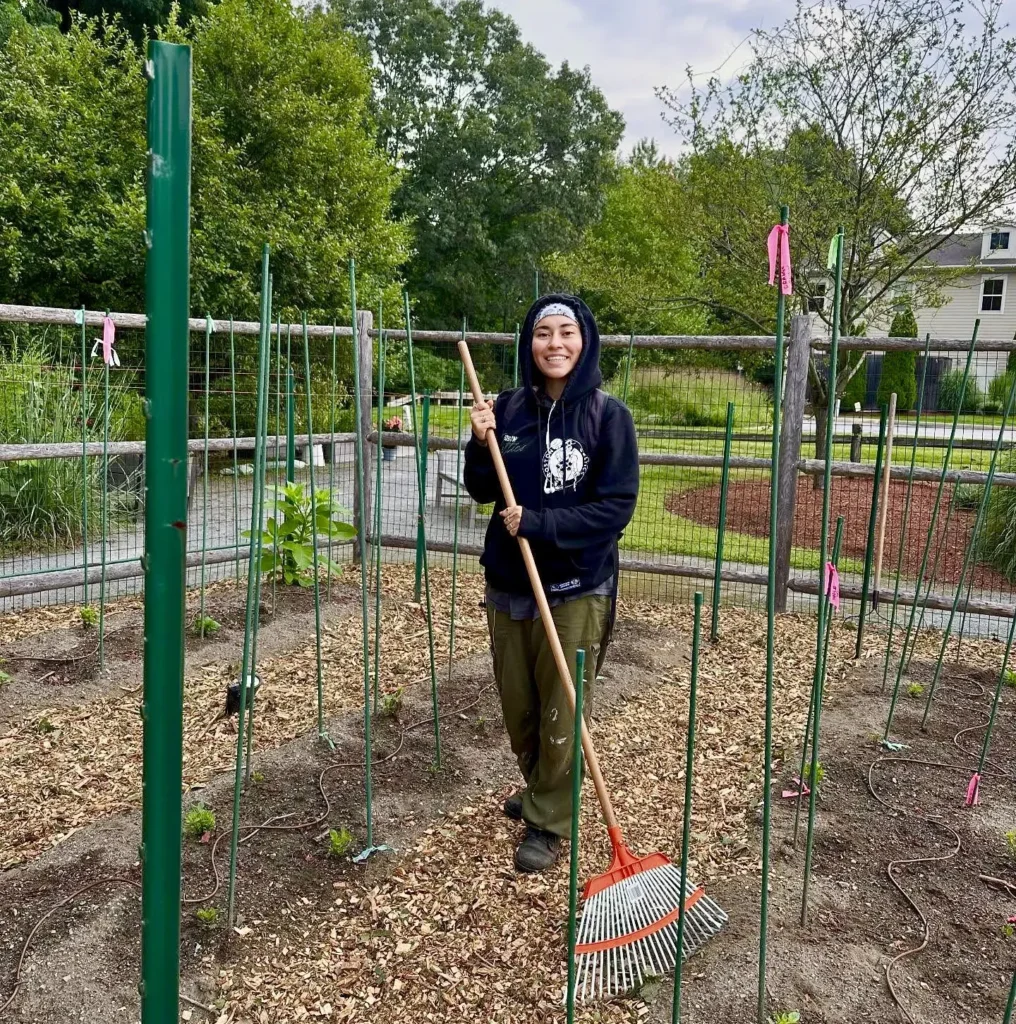 STEMS student volunteer raking the flower beds